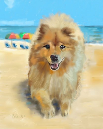 Tucker Takes To The Beach